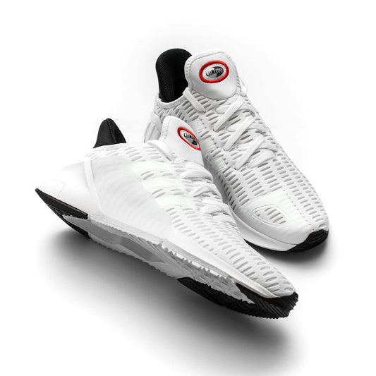 Why Do ASICS Shoes Cost So Much Money? A Breakdown of Value and Performance - Soleheaven